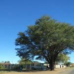 Johannesburg to Kimberley