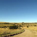 South Africa, Gauteng, near R512, Laezonia