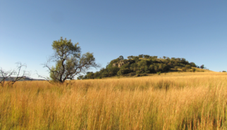 South Africa Highveld Laezonia | travel photography by Sebastian Motsch (2012)