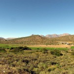 South Africa, Klein Karoo, Ostrich Farm