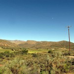 South Africa, Klein Karoo, Ostrich Farm