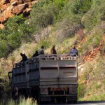 South Africa, Meiringspoort Pass