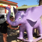 South Africa, De Rust, Klein Karoo