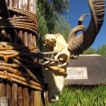 Cango Wildlife Park, Oudtshoorn, South Africa