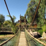 Cango Wildlife Park, Oudtshoorn, South Africa