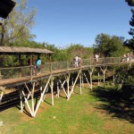 Cango Wildlife Park, Oudtshoorn, South Africa