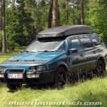 Buggy und Käfer Treffen Sulzthal Rhön 2012