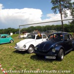 Buggy und Käfer Treffen Sulzthal Rhön 2012