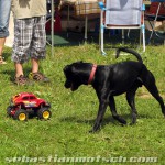 Buggy und Käfer Treffen Sulzthal Rhön 2012