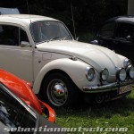 Buggy und Käfer Treffen Sulzthal Rhön 2012