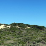 Stillbaai, Lappies Baai, Jongensfontein, Skulpiesbaai Nature Reserve, Sunrise