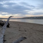 Stillbaai, Lappies Baai, Jongensfontein, Skulpiesbaai Nature Reserve, Sunrise