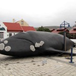 South Africa, Western Cape, Hermanus, Whale