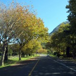 South Africa, Capetown, Chapmans Peak Drive