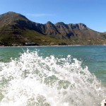 South Africa, Cape Town, Hout Bay