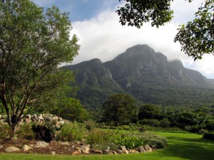 South Africa, Capetown, Kirstenbosch, Botanical Garden, Table Mountain