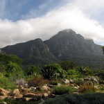 South Africa, Capetown, Kirstenbosch, Botanical Garden, Table Mountain