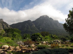 South Africa, Capetown, Kirstenbosch, Botanical Garden, Table Mountain