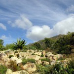 South Africa, Capetown, Kirstenbosch, Botanical Garden, Table Mountain