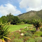 South Africa, Capetown, Kirstenbosch, Botanical Garden, Table Mountain