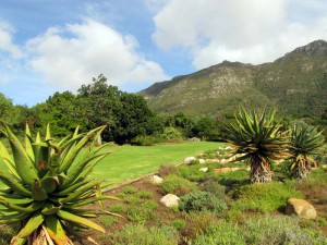 South Africa, Capetown, Kirstenbosch, Botanical Garden, Table Mountain