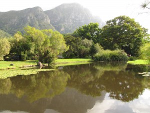 South Africa, Capetown, Kirstenbosch, Botanical Garden, Table Mountain