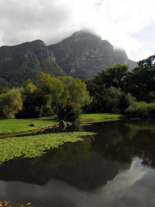 South Africa, Capetown, Kirstenbosch, Botanical Garden, Table Mountain