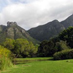 South Africa, Capetown, Kirstenbosch, Botanical Garden, Table Mountain