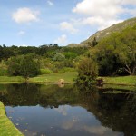 South Africa, Capetown, Kirstenbosch, Botanical Garden, Table Mountain