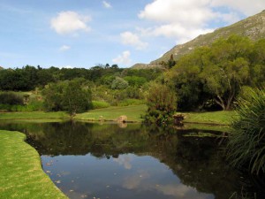 South Africa, Capetown, Kirstenbosch, Botanical Garden, Table Mountain