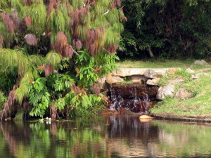 South Africa, Capetown, Kirstenbosch, Botanical Garden, Table Mountain