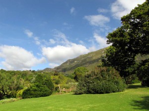 South Africa, Capetown, Kirstenbosch, Botanical Garden, Table Mountain