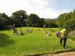 South Africa, Capetown, Kirstenbosch, Botanical Garden, Table Mountain