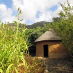 South Africa, Capetown, Kirstenbosch, Botanical Garden, Table Mountain