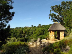 South Africa, Capetown, Kirstenbosch, Botanical Garden, Table Mountain