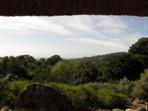 South Africa, Capetown, Kirstenbosch, Botanical Garden, Table Mountain