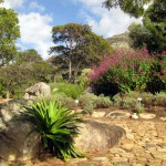 South Africa, Capetown, Kirstenbosch, Botanical Garden, Table Mountain