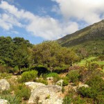 South Africa, Capetown, Kirstenbosch, Botanical Garden, Table Mountain