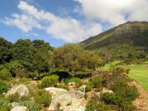 South Africa, Capetown, Kirstenbosch, Botanical Garden, Table Mountain