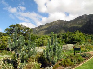 South Africa, Capetown, Kirstenbosch, Botanical Garden, Table Mountain