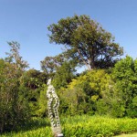 South Africa, Capetown, Kirstenbosch, Botanical Garden, Table Mountain, Sculpture