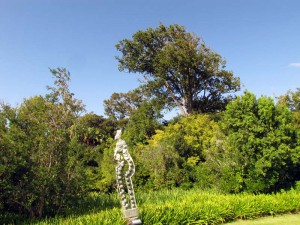 South Africa, Capetown, Kirstenbosch, Botanical Garden, Table Mountain, Sculpture