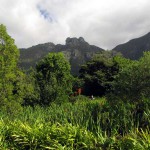 South Africa, Capetown, Kirstenbosch, Botanical Garden, Table Mountain