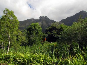 South Africa, Capetown, Kirstenbosch, Botanical Garden, Table Mountain