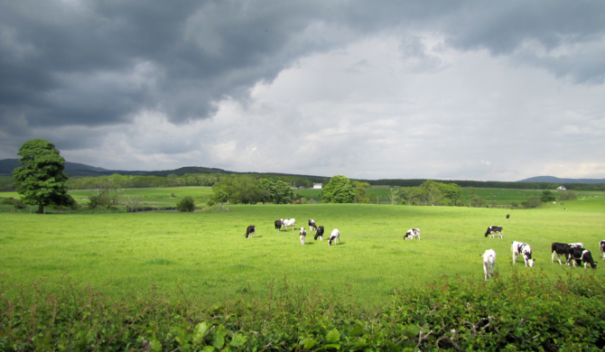 Paramotor Roadtrip UK 2013