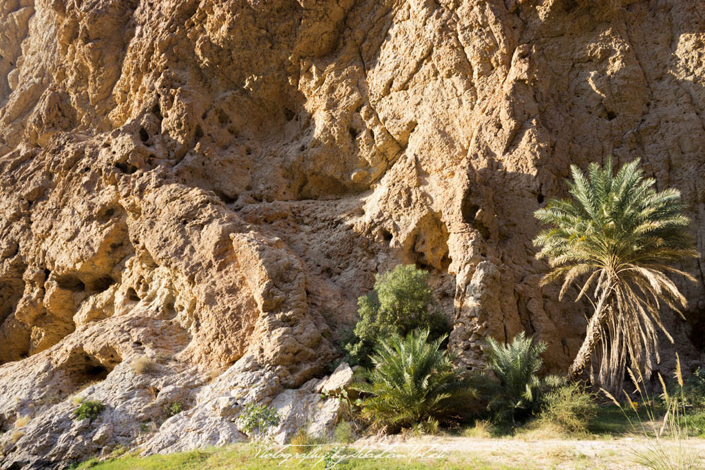 Oman Road Trip | Travel Photography by Sebastian Motsch (2015)