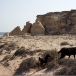 Oman Ras al Jinz Beach View | Travel Photography by Sebastian Motsch (2014)