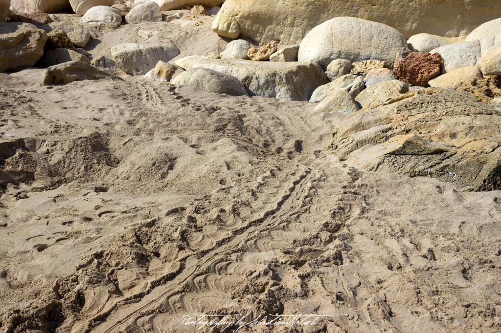 Oman Ras al Jinz Turtle Trackz | Travel Photography by Sebastian Motsch (2014)