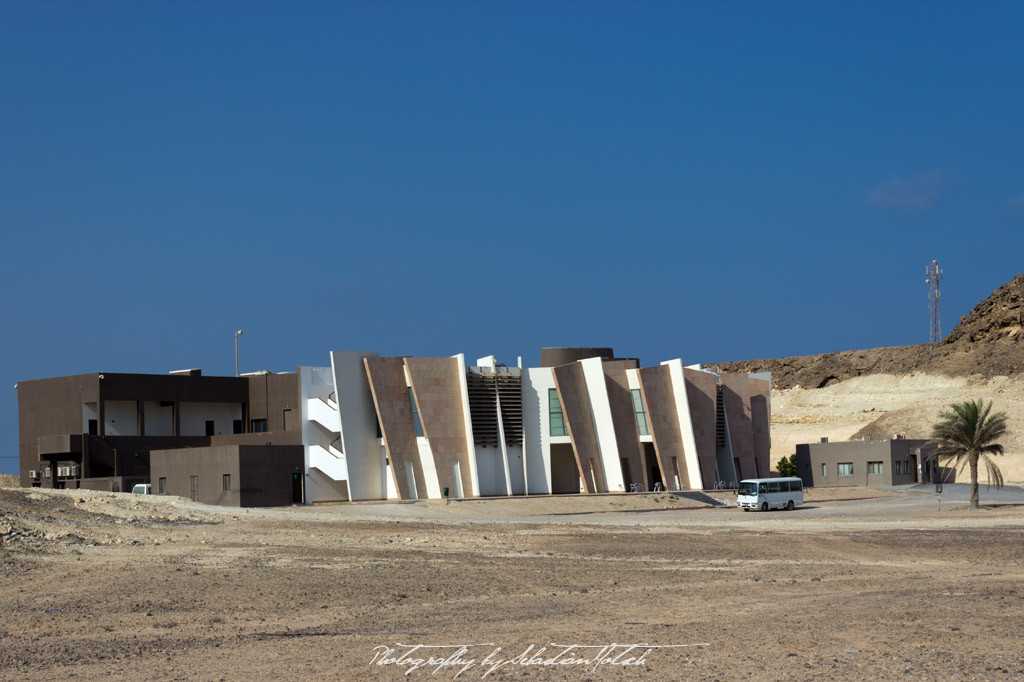 Oman Ras al Jinz Turtle Reserve |Travel Photography by Sebastian Motsch (2014)