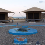 Oman Ras al Jinz Turtle Reserve EcoLodge | Travel Photography by Sebastian Motsch (2014)